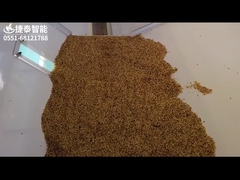 Sorting Sesame