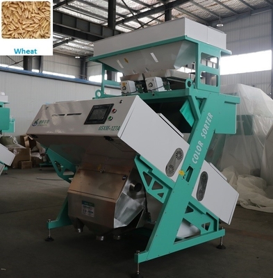 Mini classificador óptico de grãos de café de grãos de café equipamento de classificação de cores de alta precisão