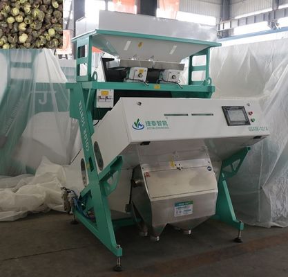 Classificador automático de cores de alho RGB Máquina de classificação de pimenta