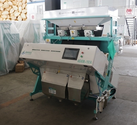 Mini máquina classificadora de cores anti-quebra para classificação de noz-pecã gergelim branco