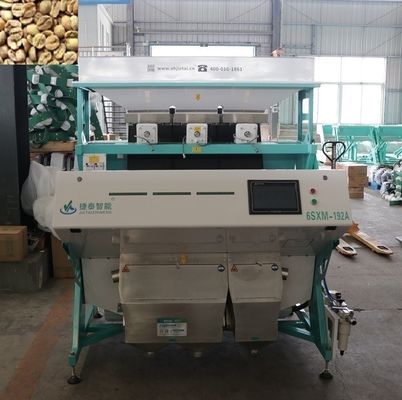 Máquina classificadora de cor de castanha de caju em grão de café CCD industrial OEM